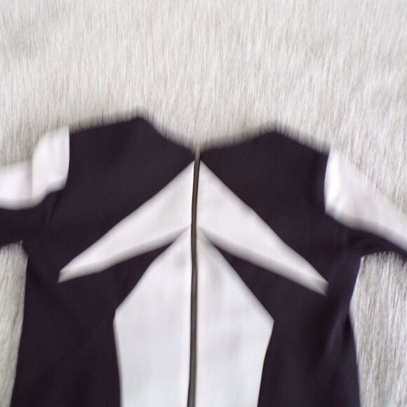 NWOT Helmut Lang Colorblock Silk dress 2 - Picture 8 of 13